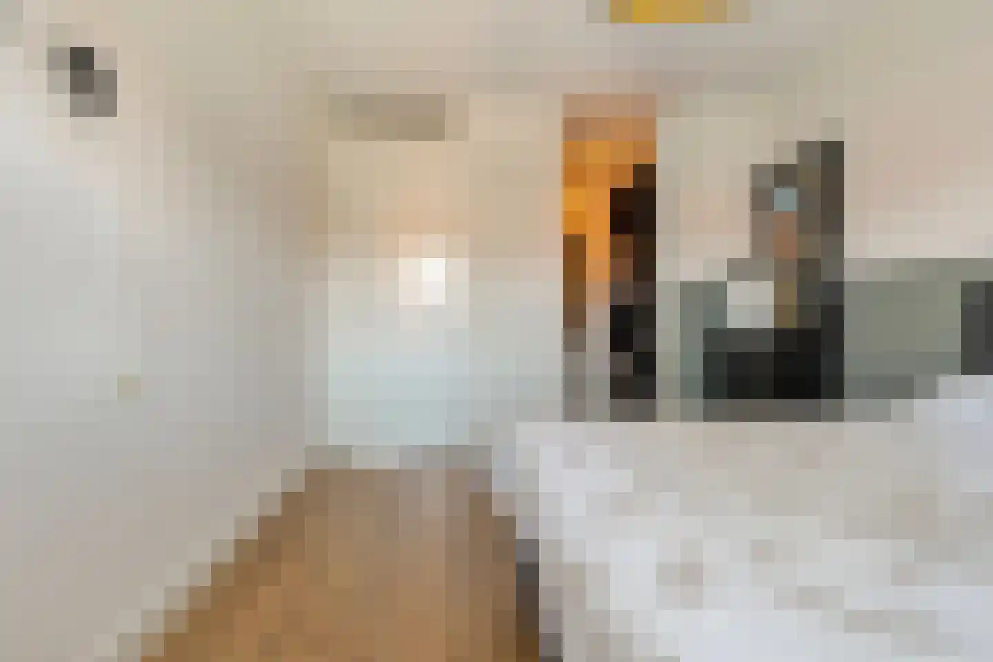 Hamerbijl 4 Dalfsen thumbnail 34