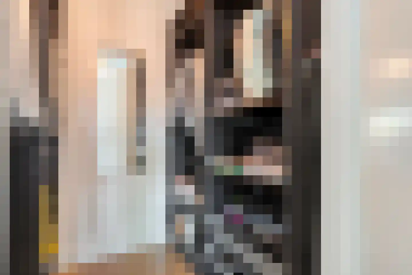Hamerbijl 4 Dalfsen thumbnail 35