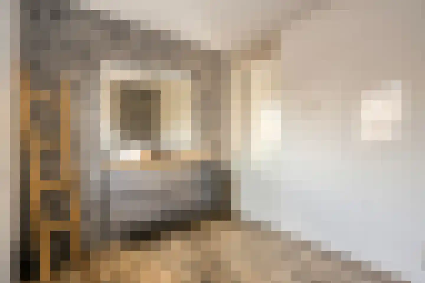 Hamerbijl 4 Dalfsen thumbnail 39