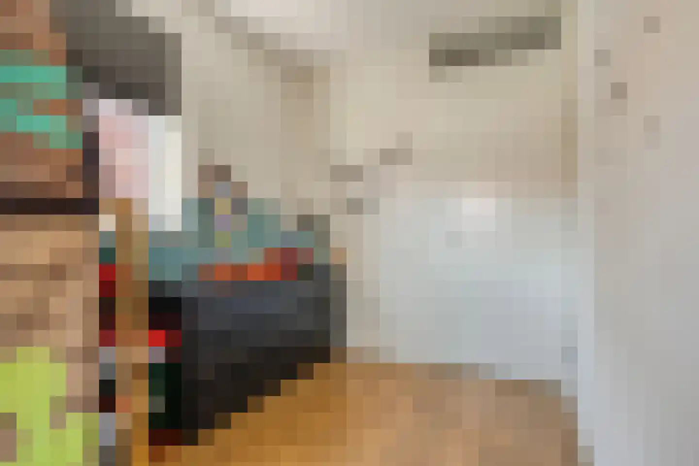 Hamerbijl 4 Dalfsen thumbnail 41