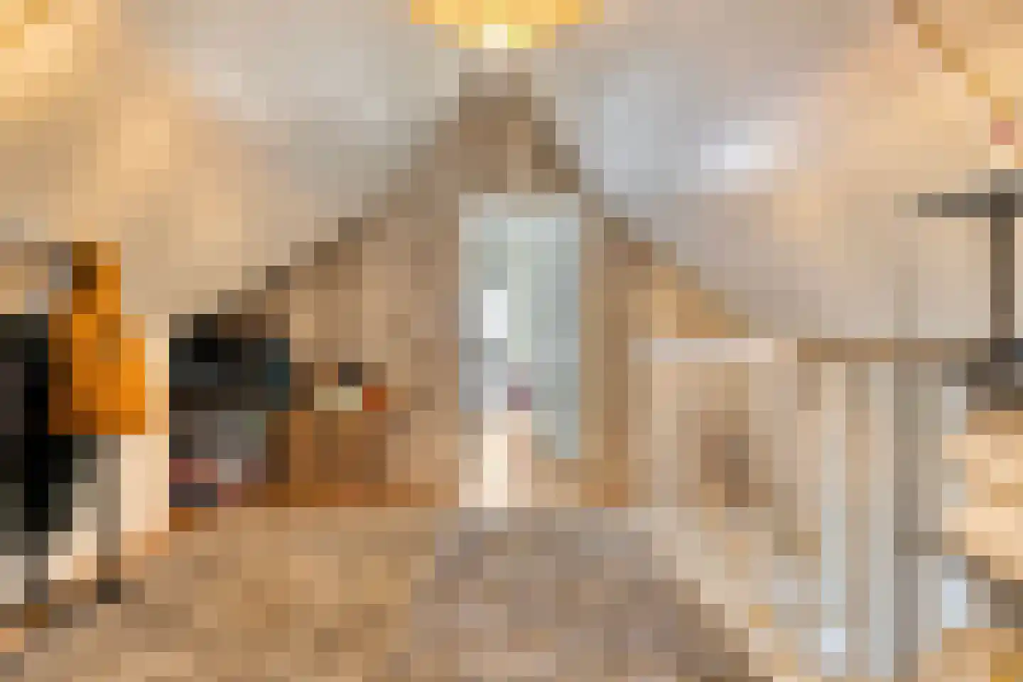 Hamerbijl 4 Dalfsen thumbnail 42