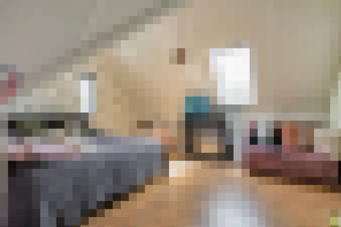 Hamerbijl 4 Dalfsen thumbnail 43