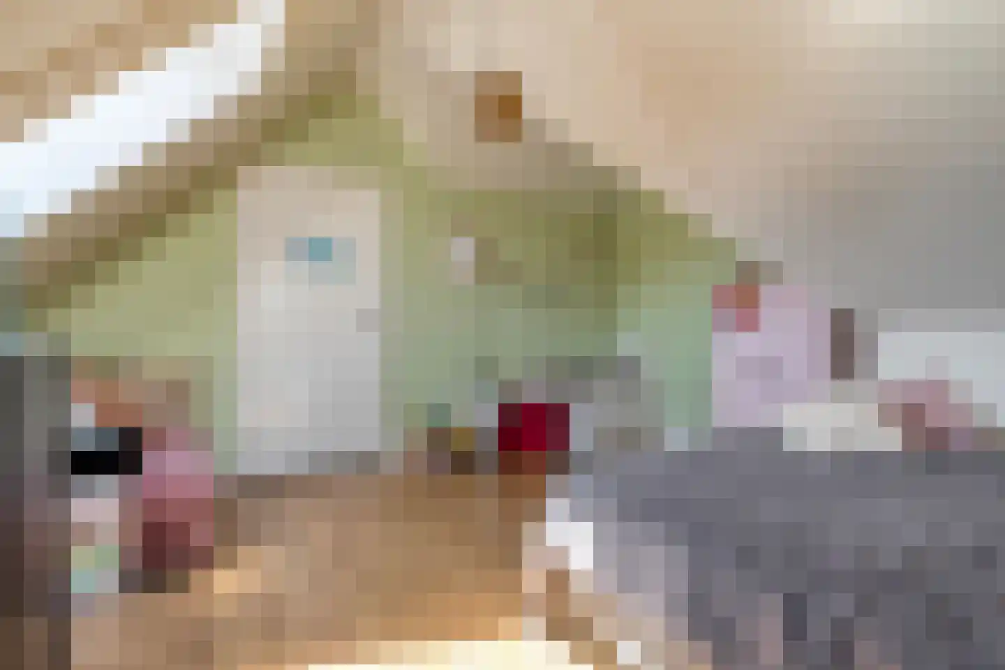 Hamerbijl 4 Dalfsen thumbnail 44