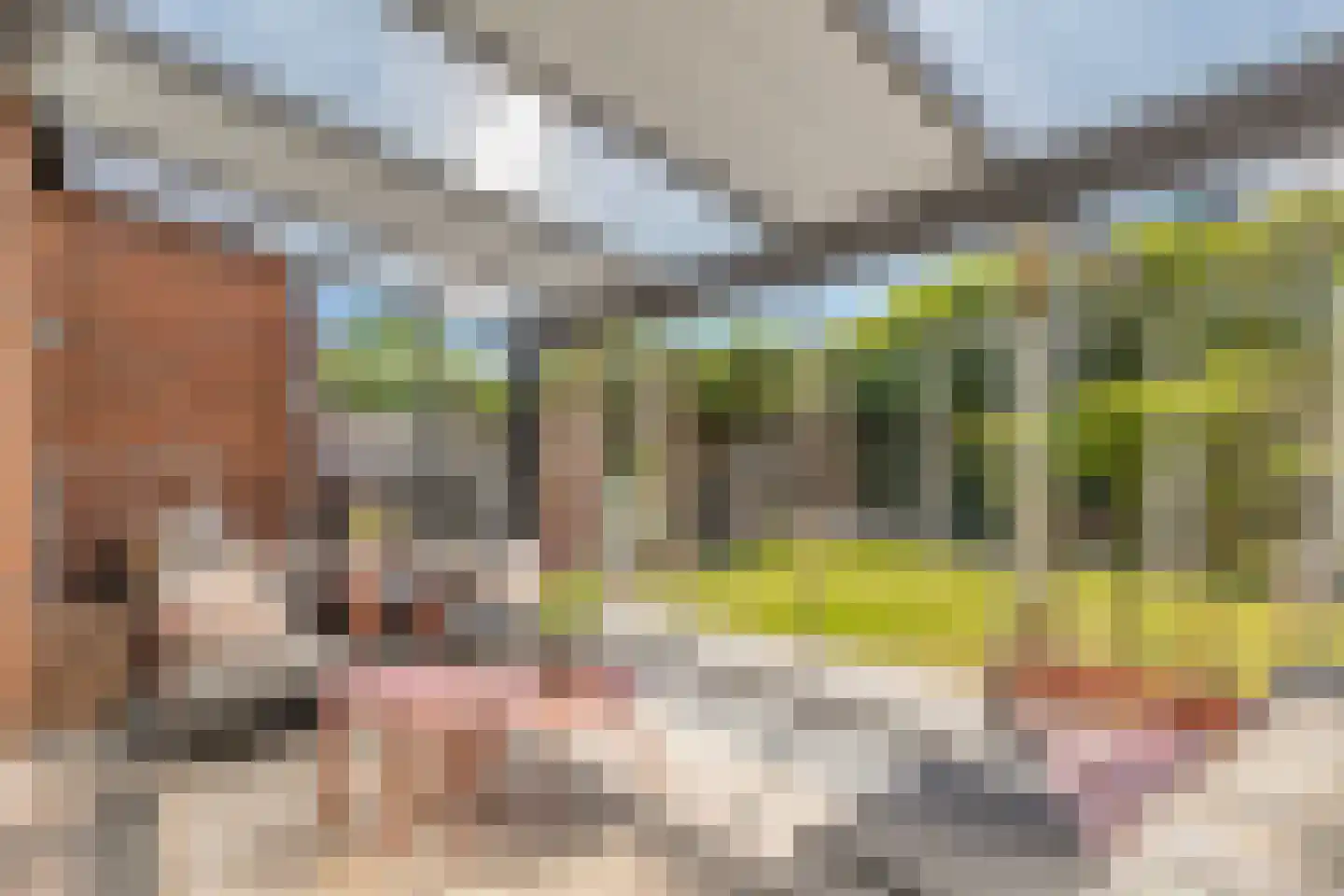 Hamerbijl 4 Dalfsen thumbnail 45