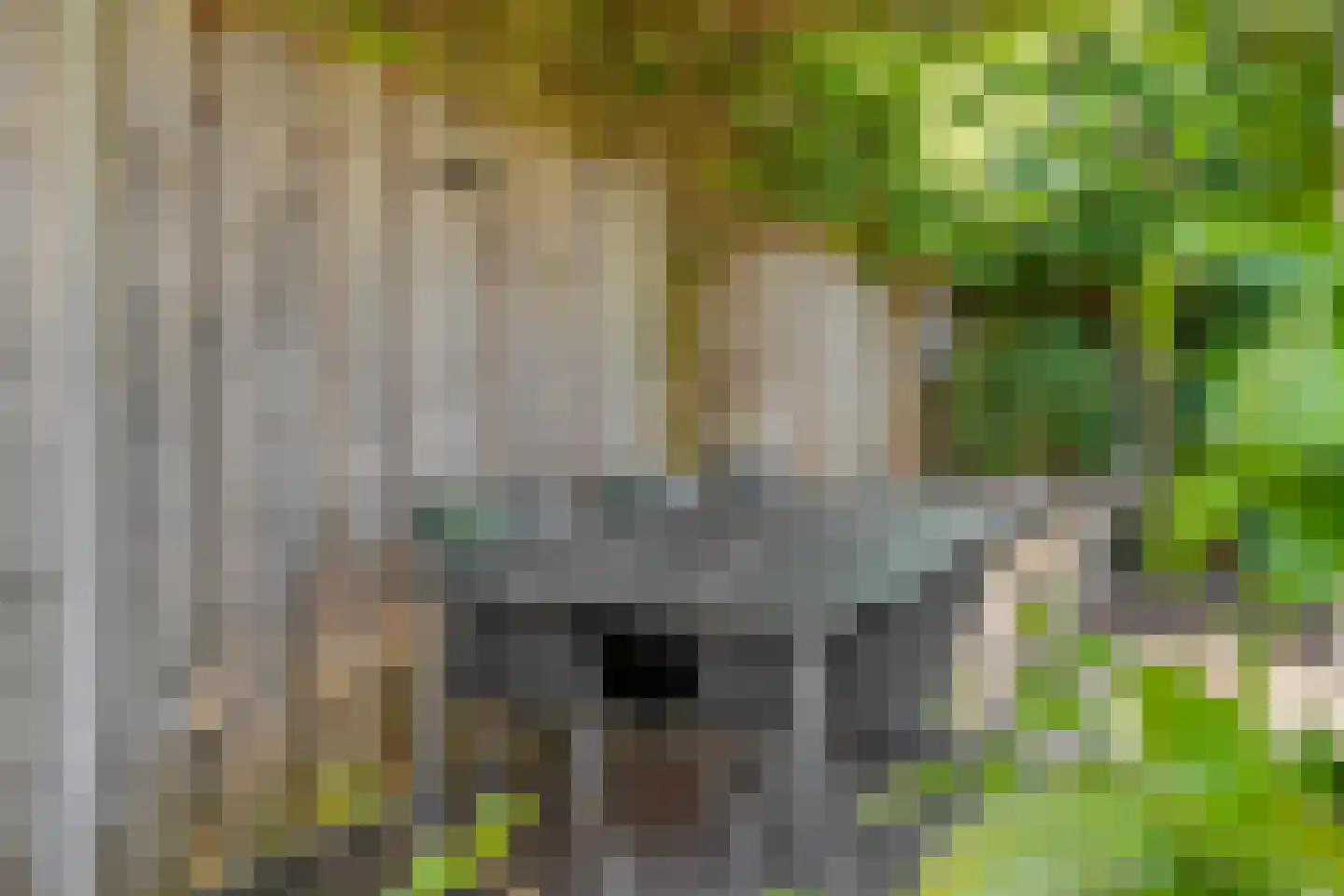 Hamerbijl 4 Dalfsen thumbnail 50