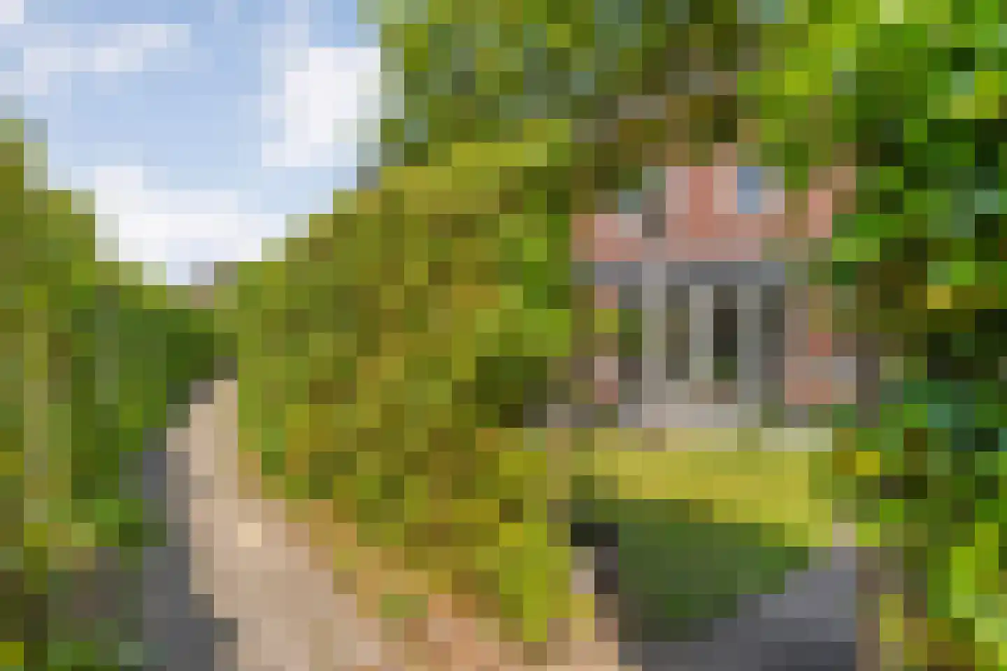 Hamerbijl 4 Dalfsen thumbnail 52