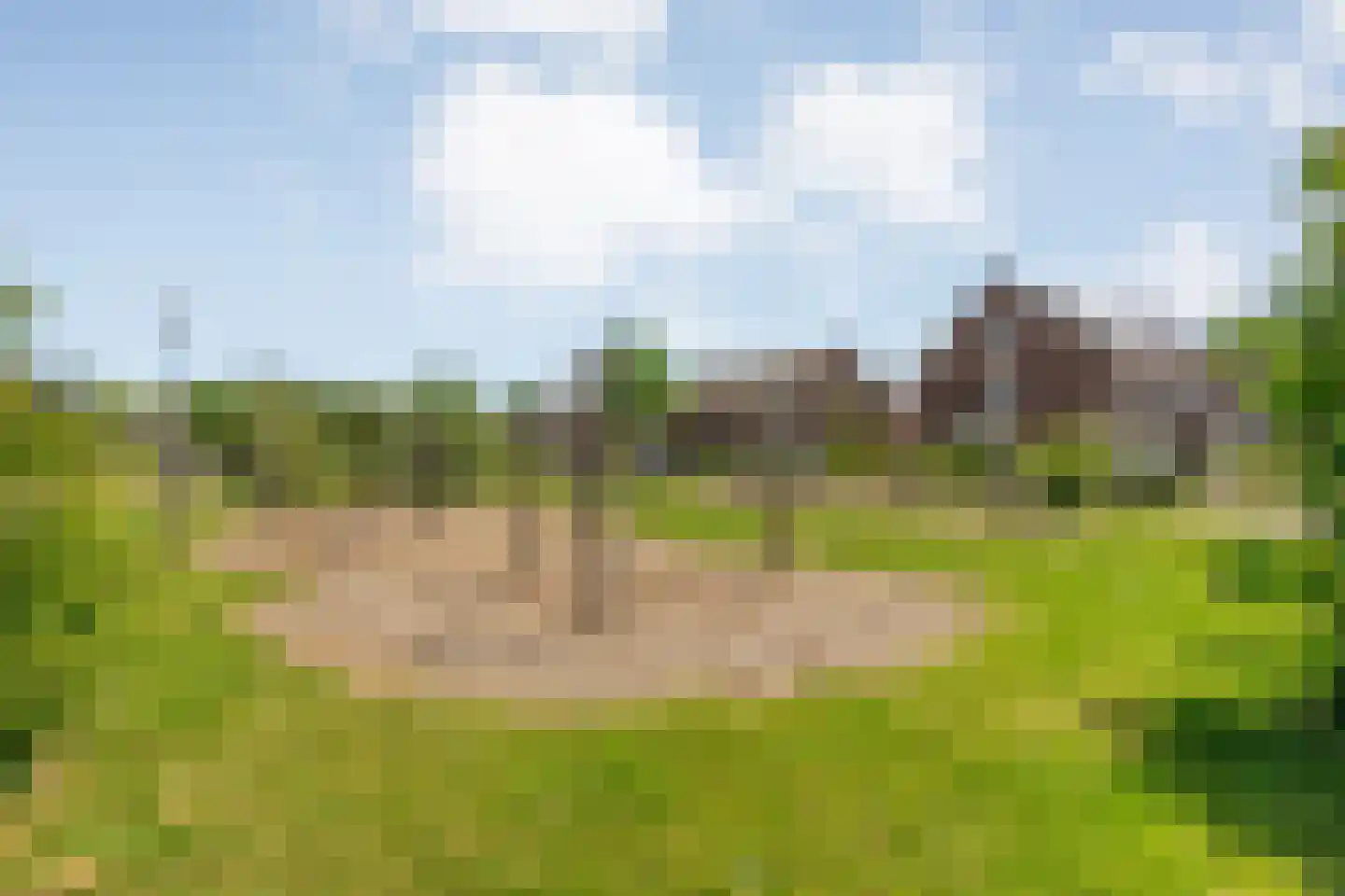Hamerbijl 4 Dalfsen thumbnail 53