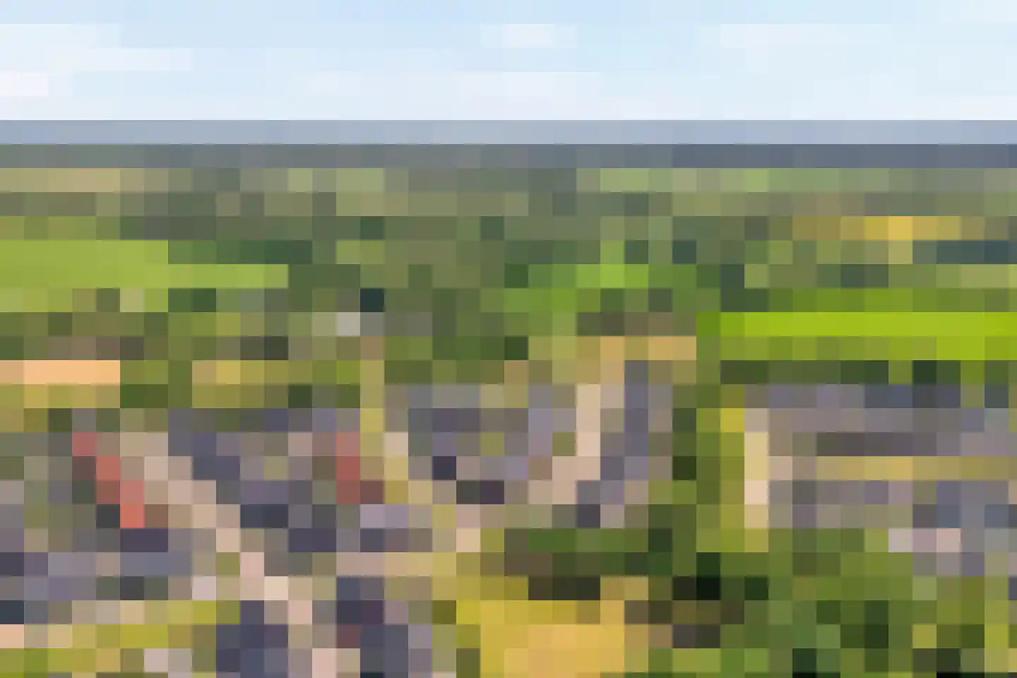 Hamerbijl 4 Dalfsen thumbnail 58