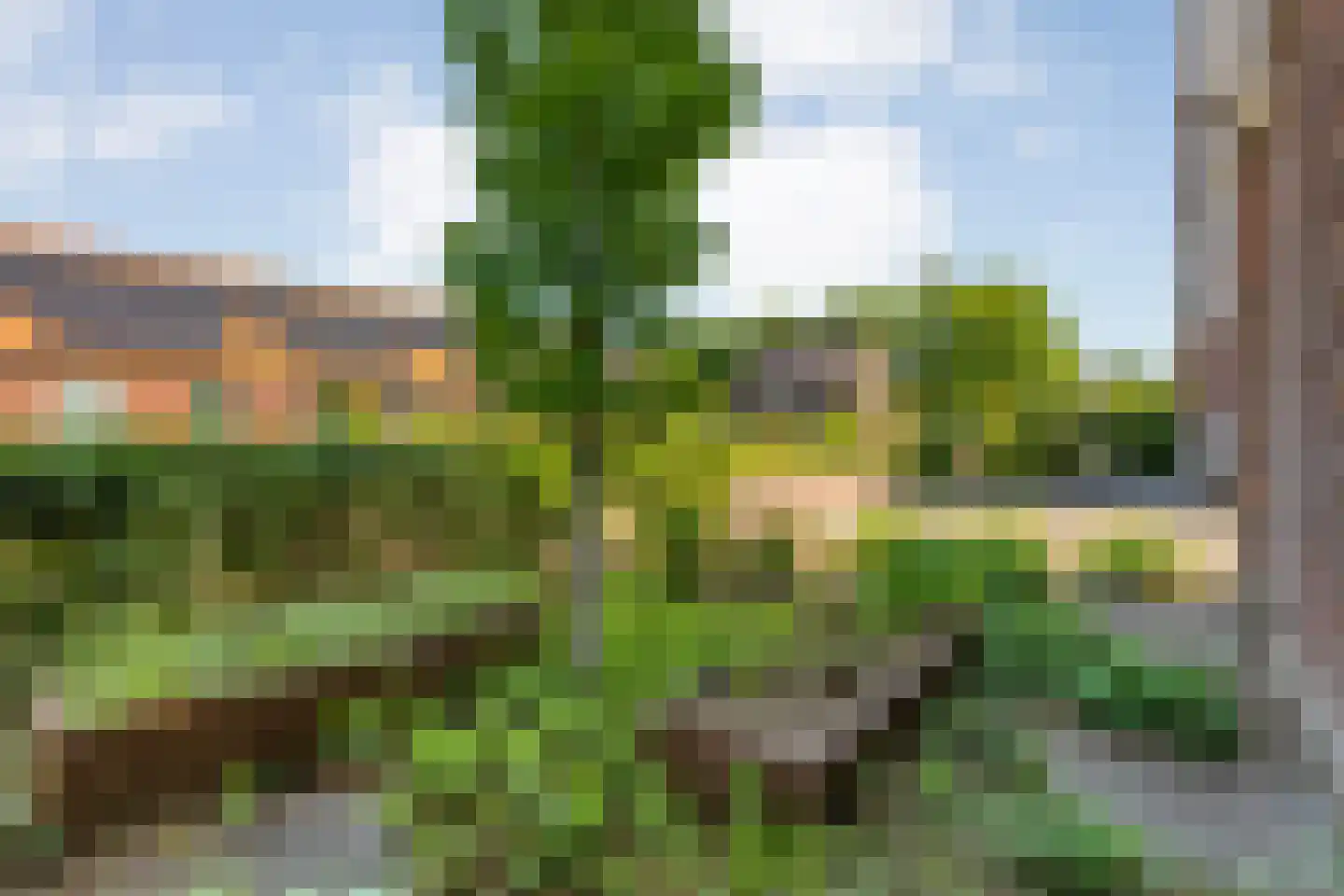 Hamerbijl 4 Dalfsen thumbnail 7
