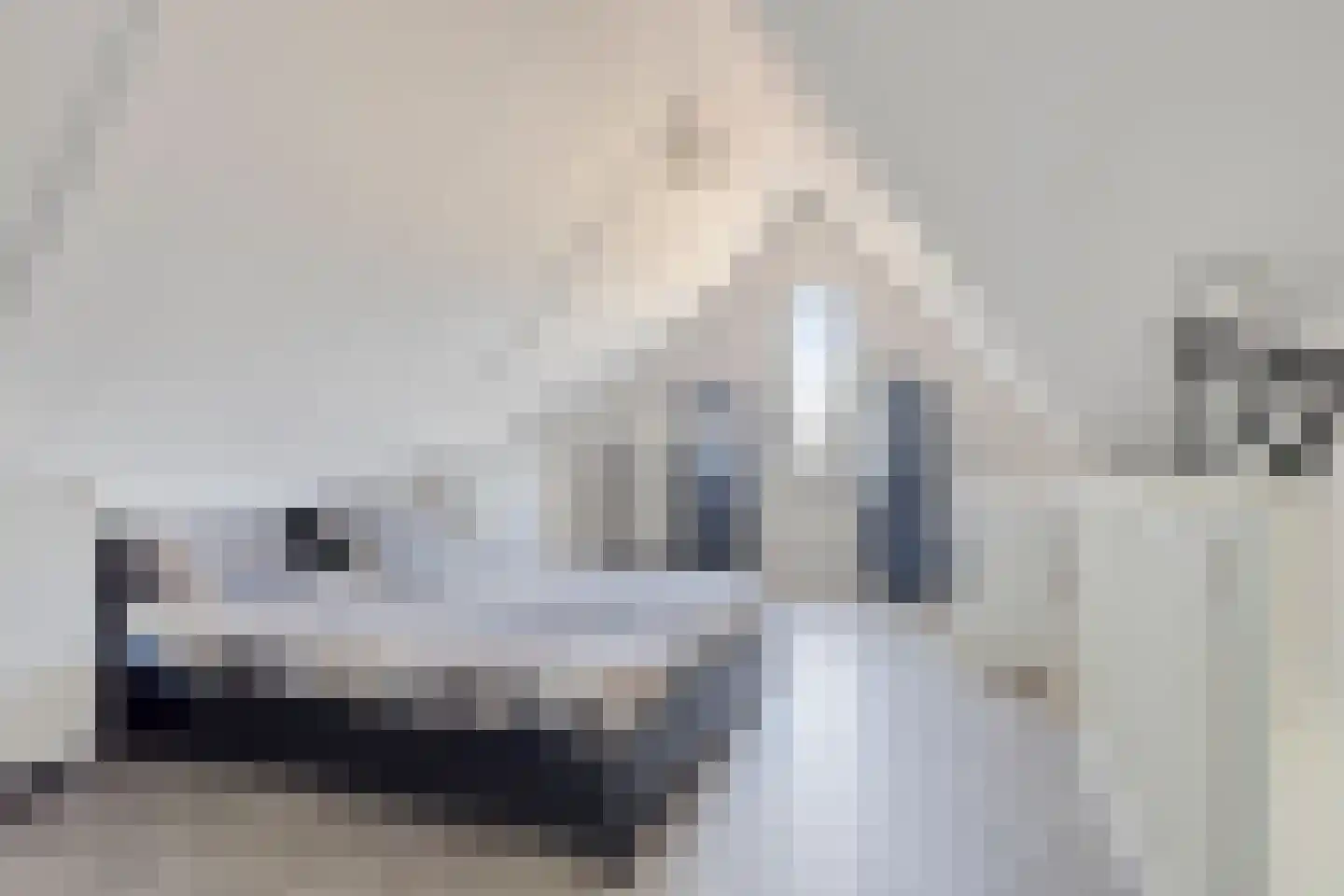 Hamerbijl 7 Oosterhout thumbnail 20