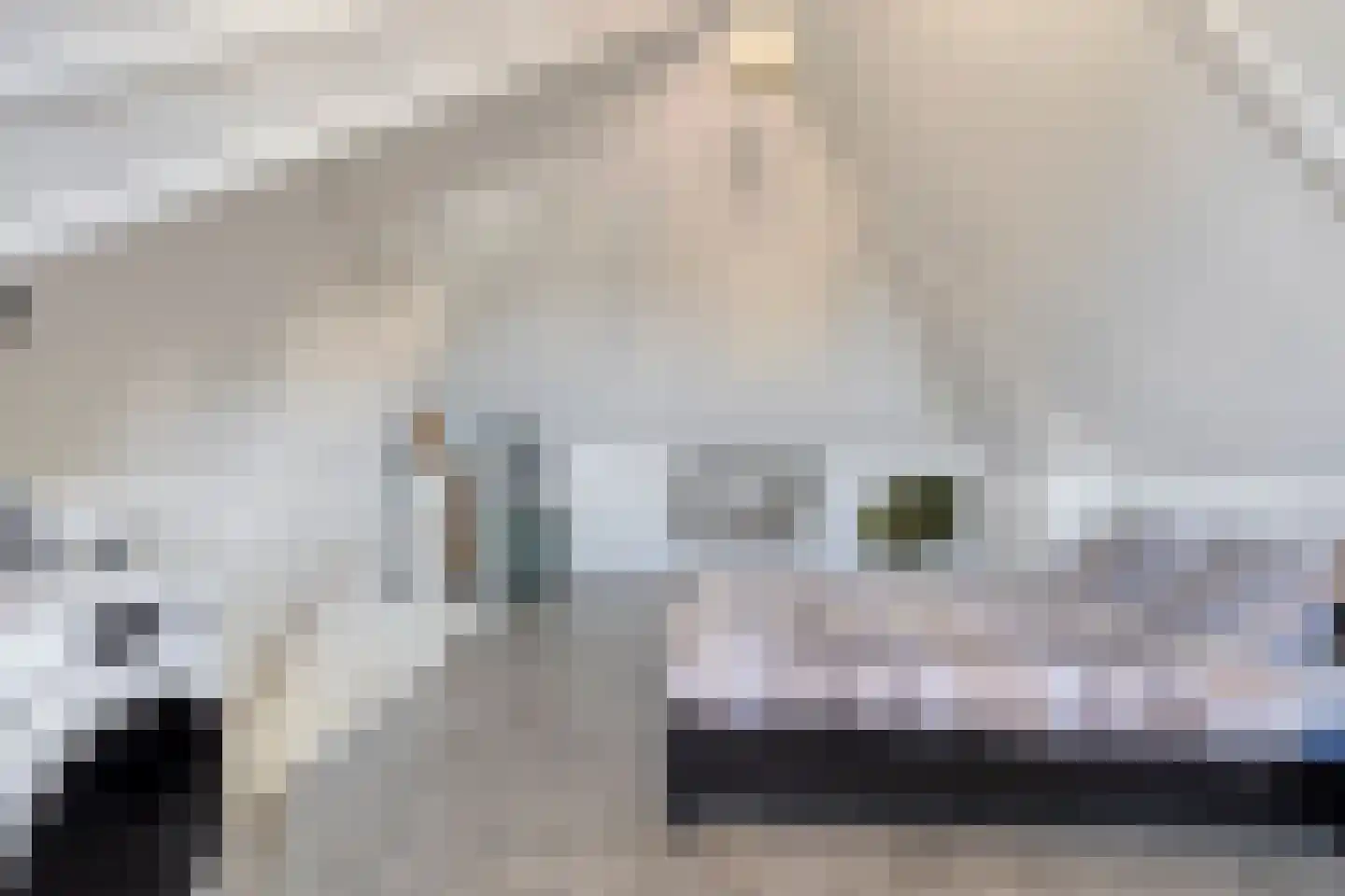 Hamerbijl 7 Oosterhout thumbnail 21