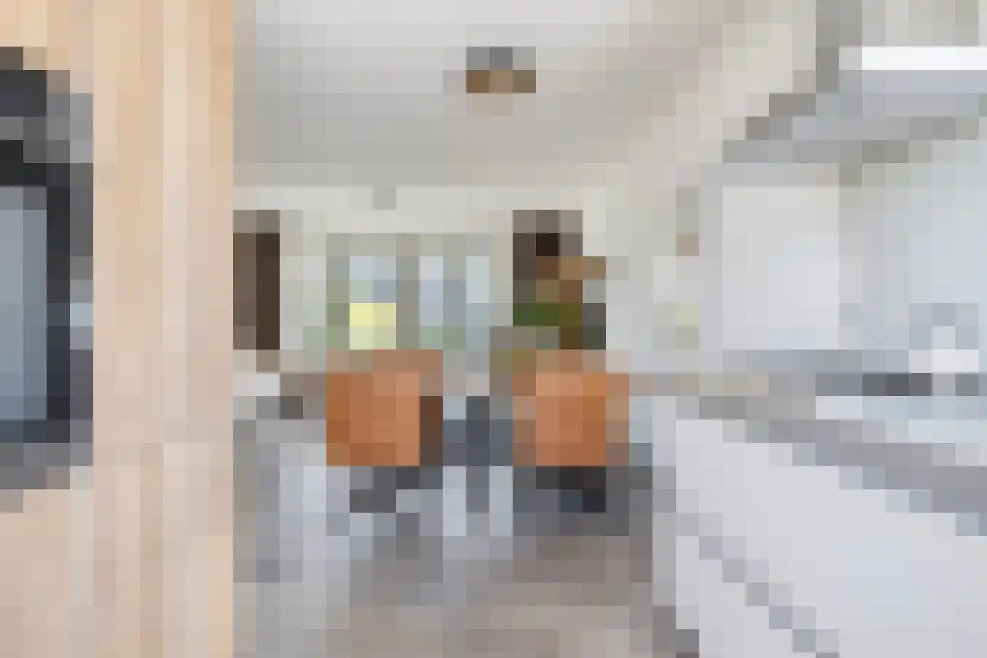 Hamerbijl 7 Oosterhout thumbnail 9