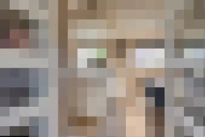 Hamerbijl 9 Oosterhout thumbnail 11
