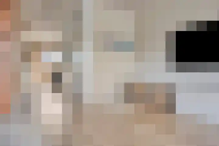 Hamerbijl 9 Oosterhout thumbnail 12