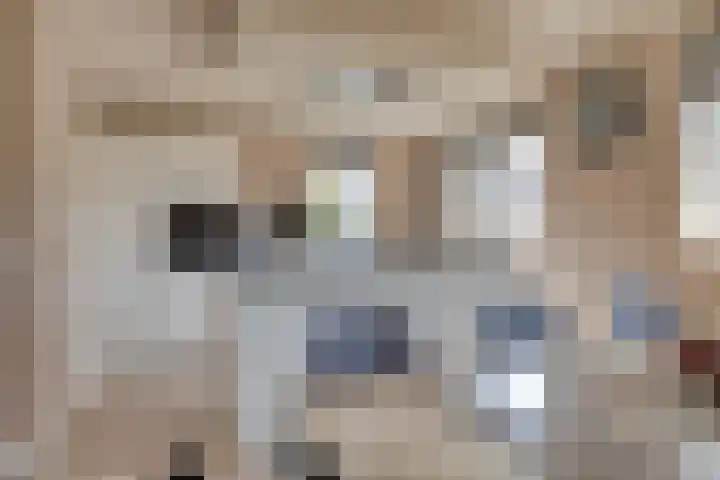 Hamerbijl 9 Oosterhout thumbnail 13