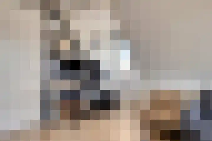 Hamerbijl 9 Oosterhout thumbnail 24
