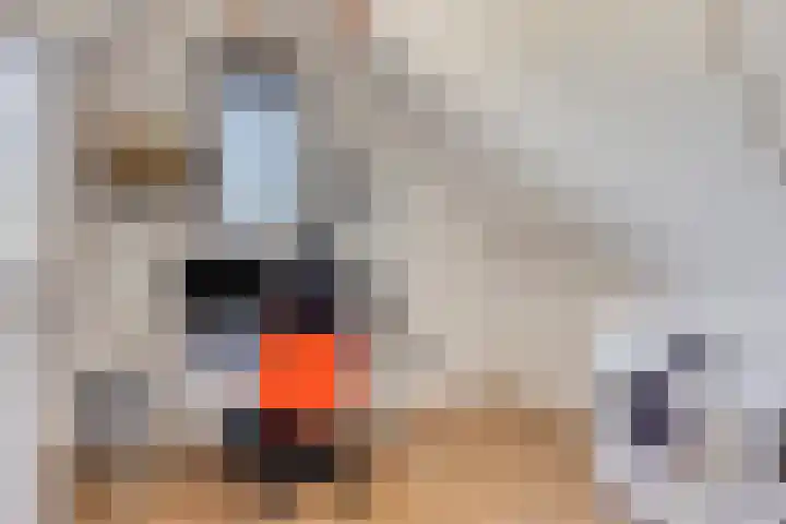 Hamerbijl 9 Oosterhout thumbnail 25