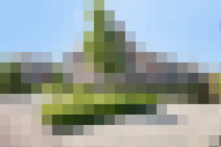 Hamerbijl 9 Oosterhout thumbnail 29