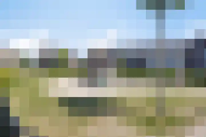 Hamerbijl 9 Oosterhout thumbnail 30