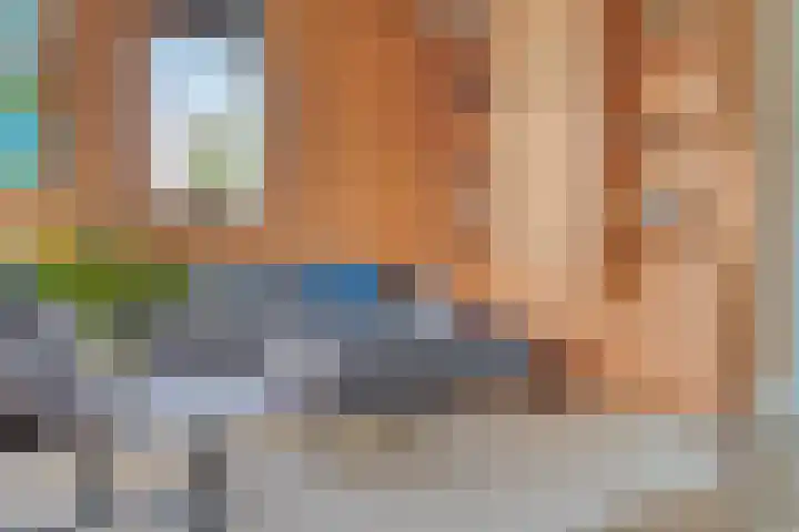 Hamerbijl 9 Oosterhout thumbnail 9