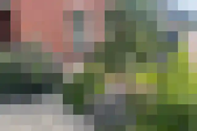 Hamermolen 1 Nunspeet thumbnail 5