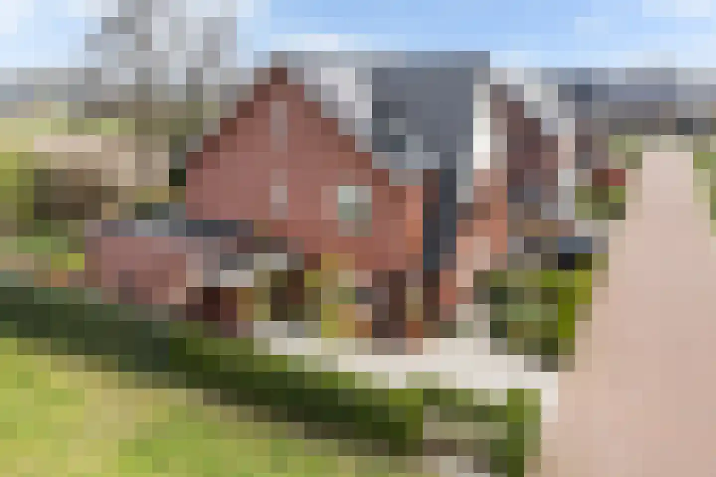 Hamermolen 1 Nunspeet thumbnail 55