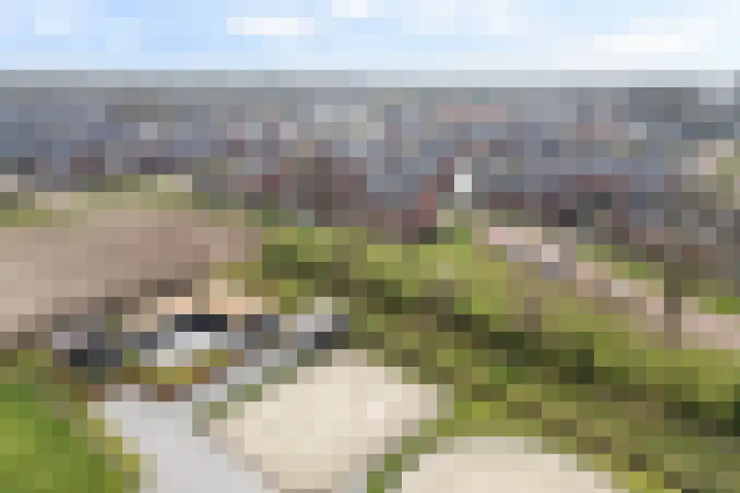 Hamermolen 1 Nunspeet thumbnail 61