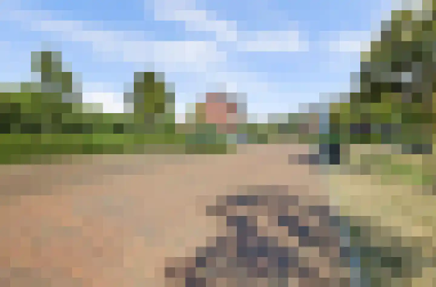 Hamermolen 10 Nunspeet thumbnail 61