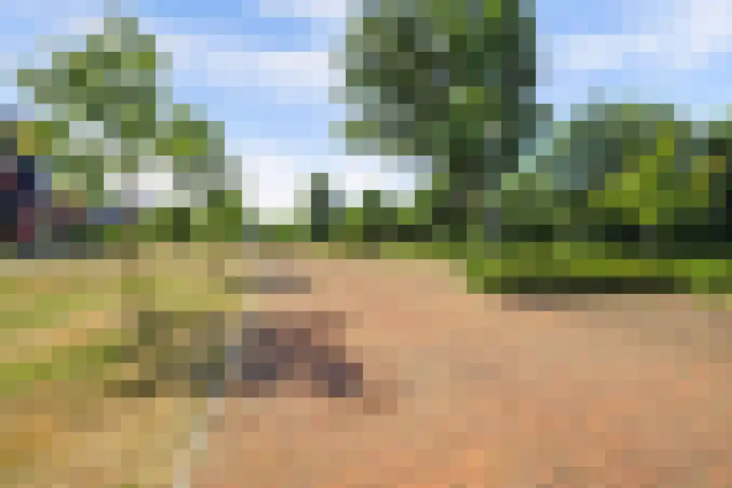Hamermolen 10 Nunspeet thumbnail 62