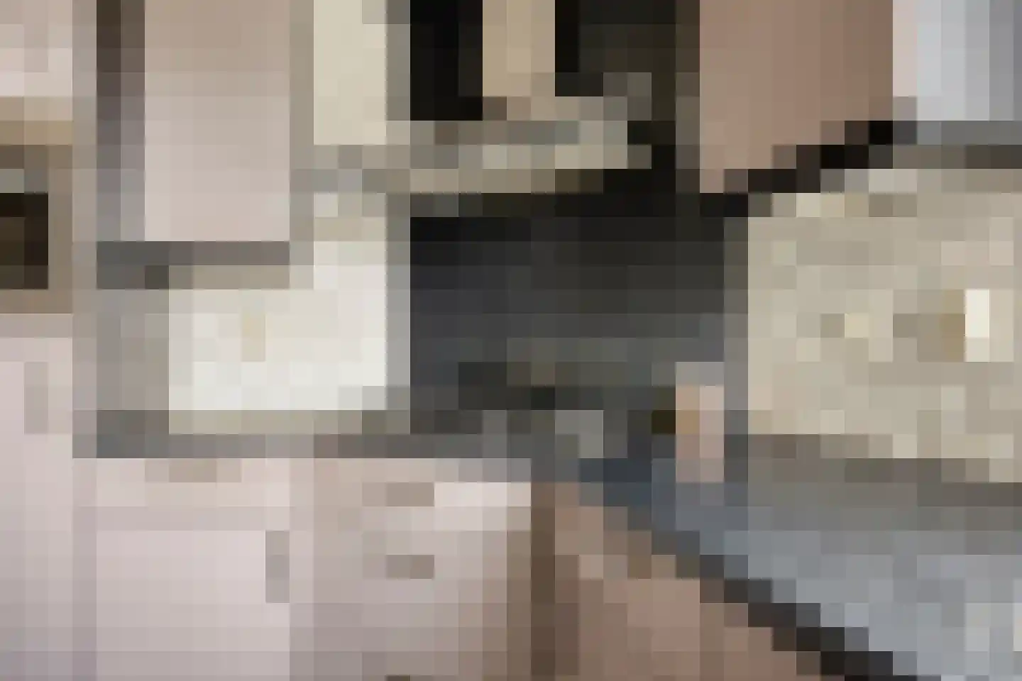 Hamermolen 17 Dinteloord thumbnail 11