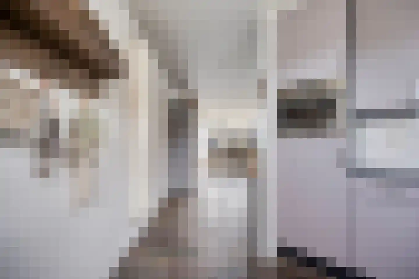 Hamermolen 17 Dinteloord thumbnail 12