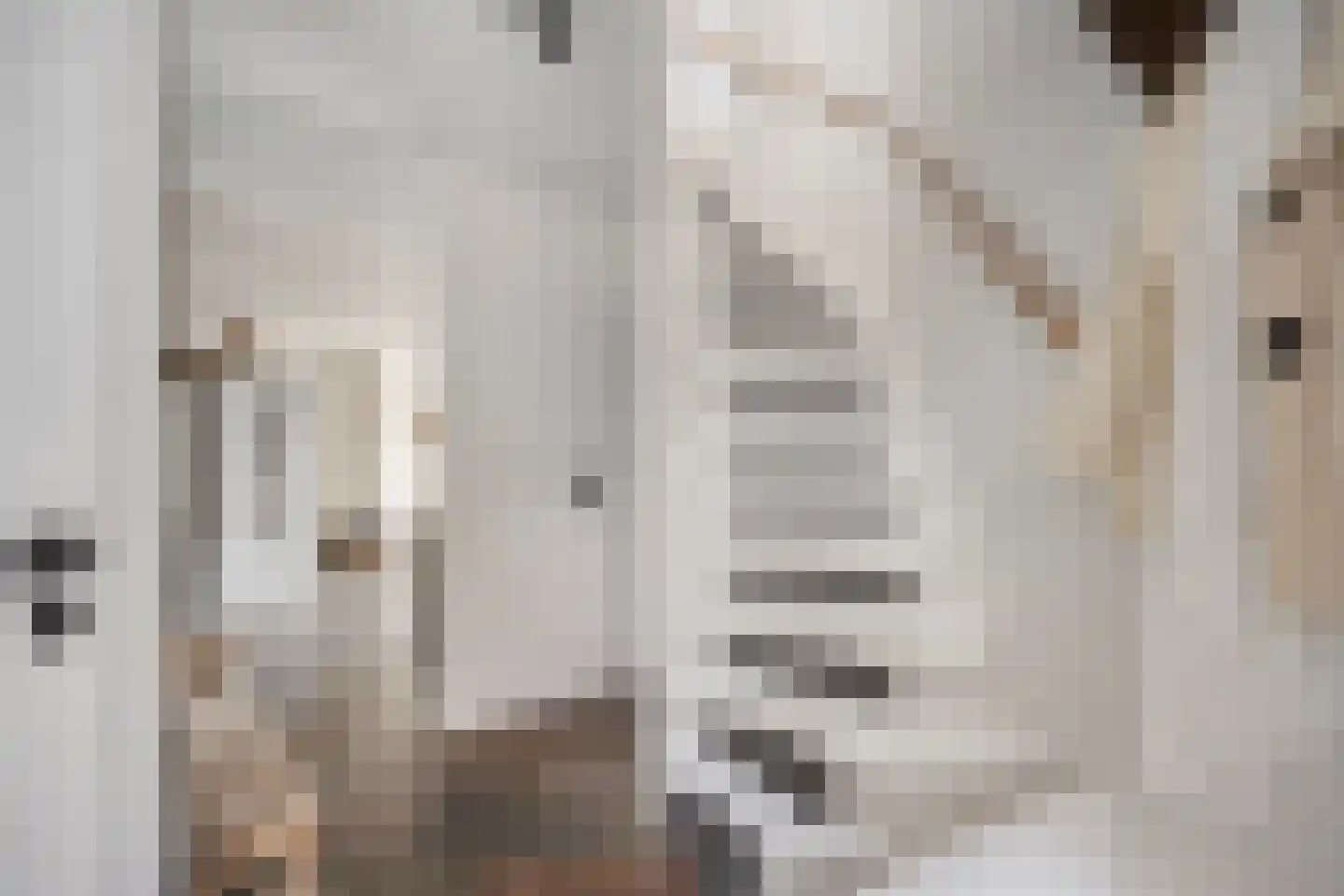 Hamermolen 17 Dinteloord thumbnail 13