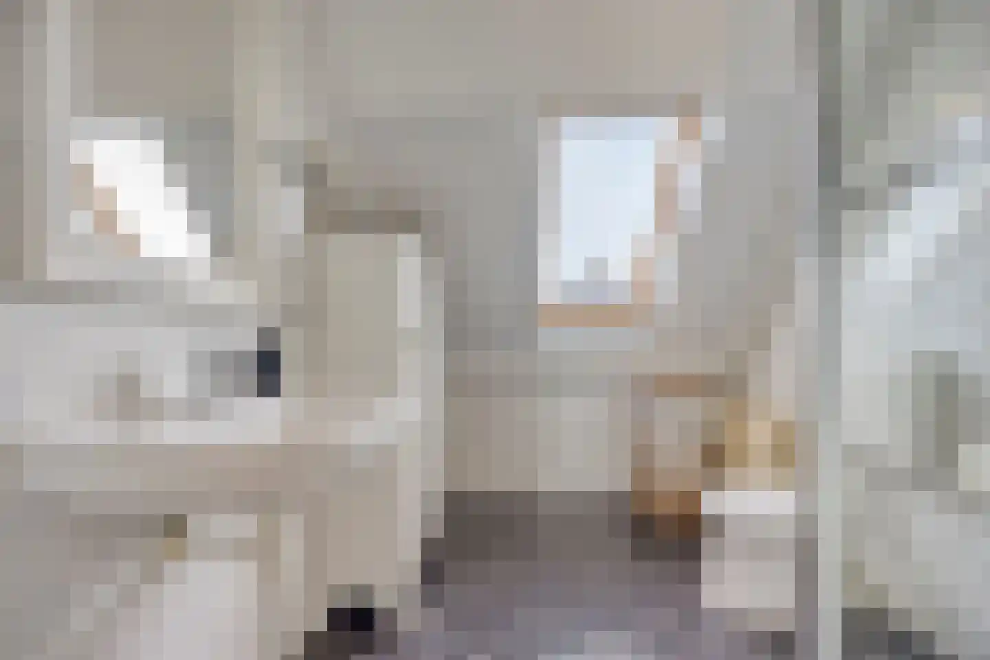 Hamermolen 17 Dinteloord thumbnail 21