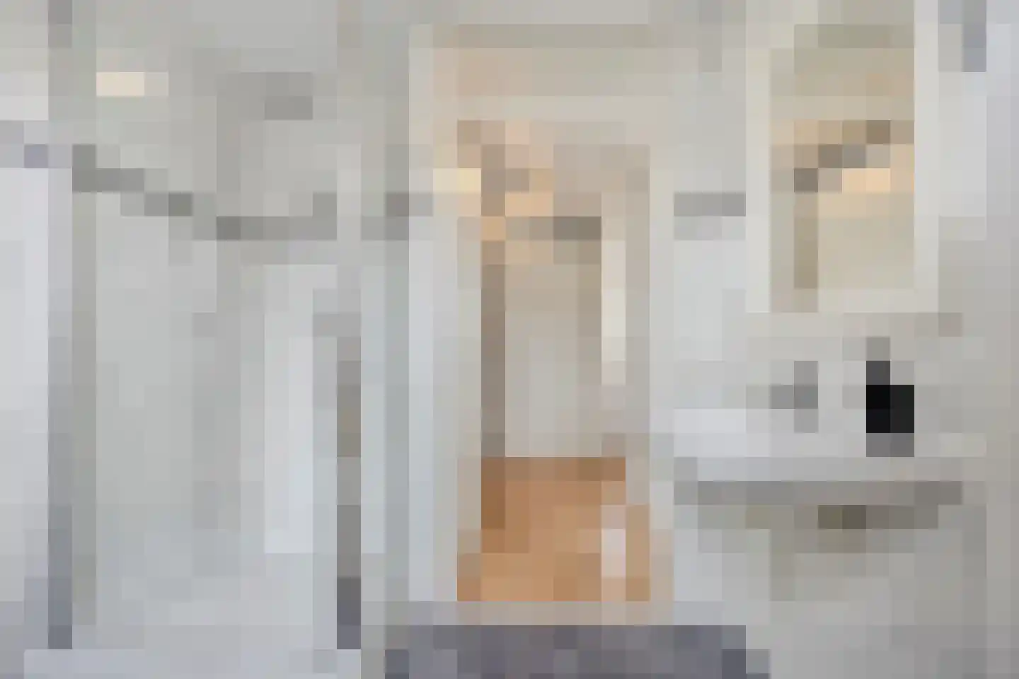 Hamermolen 17 Dinteloord thumbnail 23