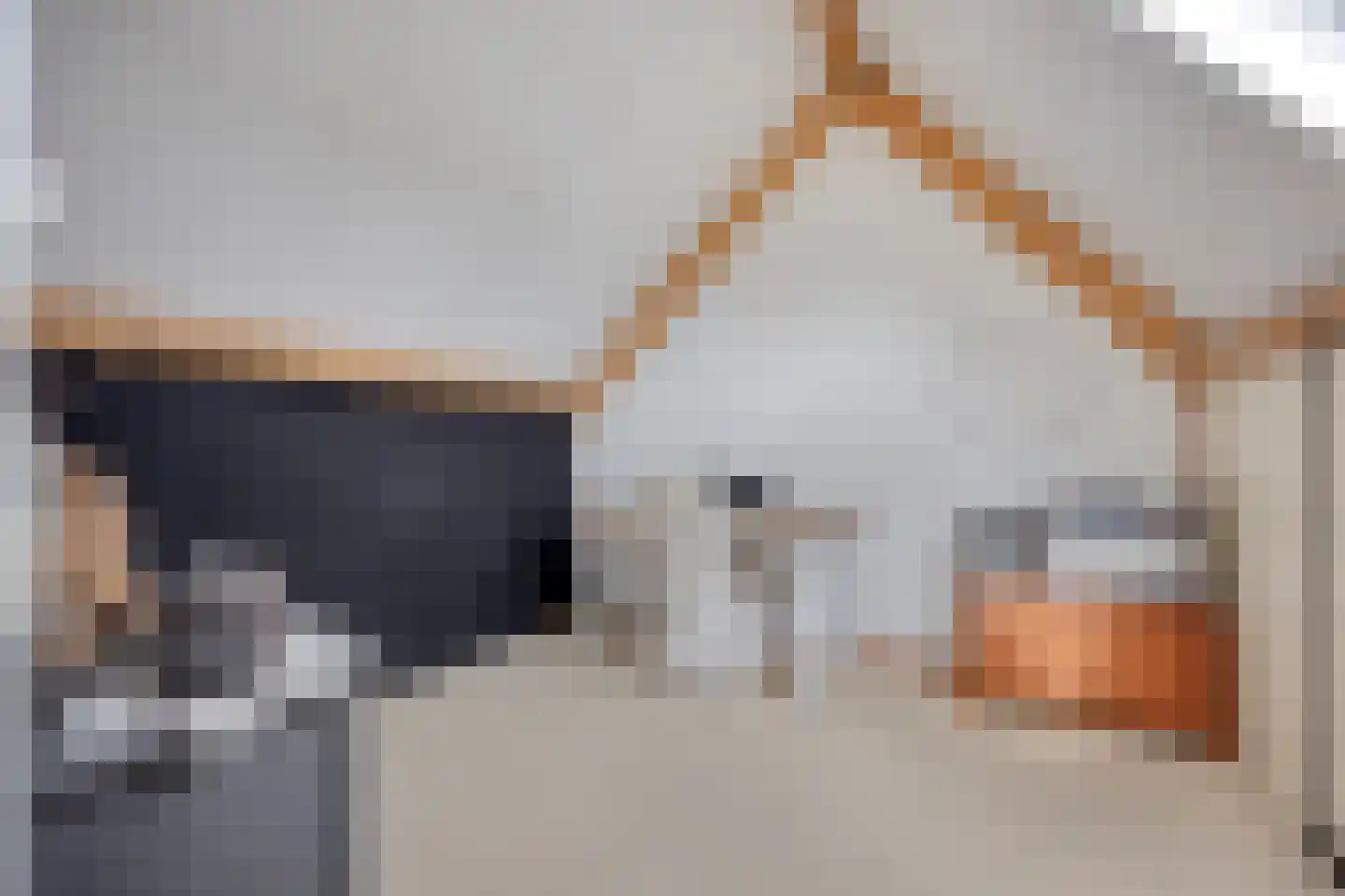 Hamermolen 17 Dinteloord thumbnail 27
