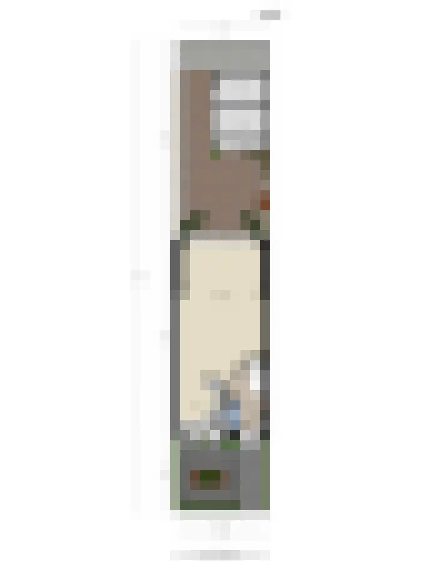 Hamermolen 17 Dinteloord thumbnail 42