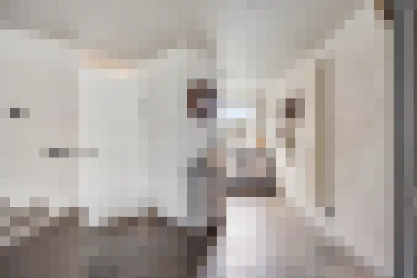 Hamermolen 17 Dinteloord thumbnail 9