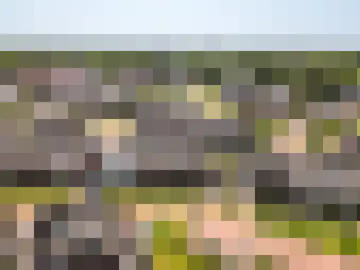 Hamermolen 18 Nunspeet thumbnail 5