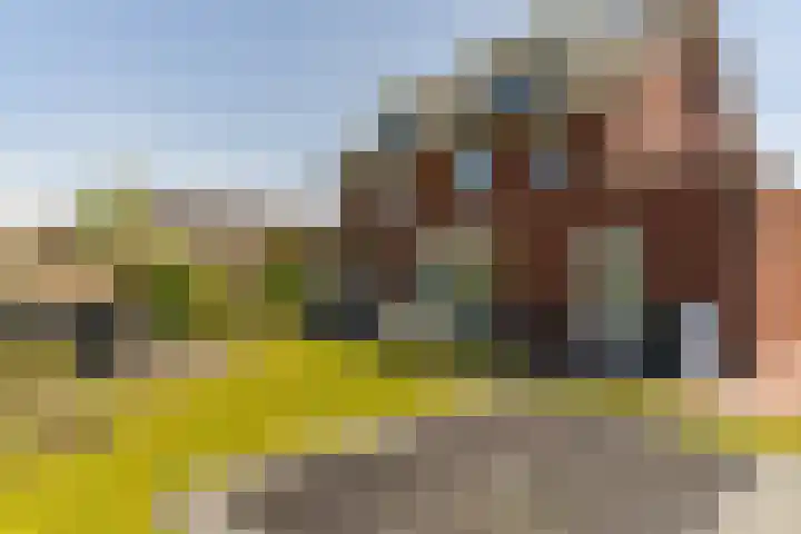 Hamermolen 9 Nunspeet thumbnail 57
