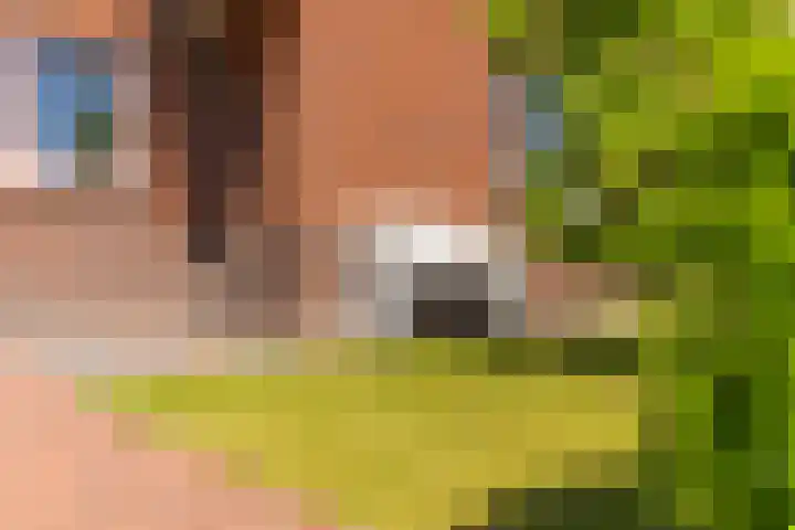 Hamermolen 9 Nunspeet thumbnail 6