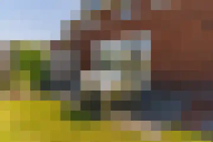 Hamermolen 9 Nunspeet thumbnail 60