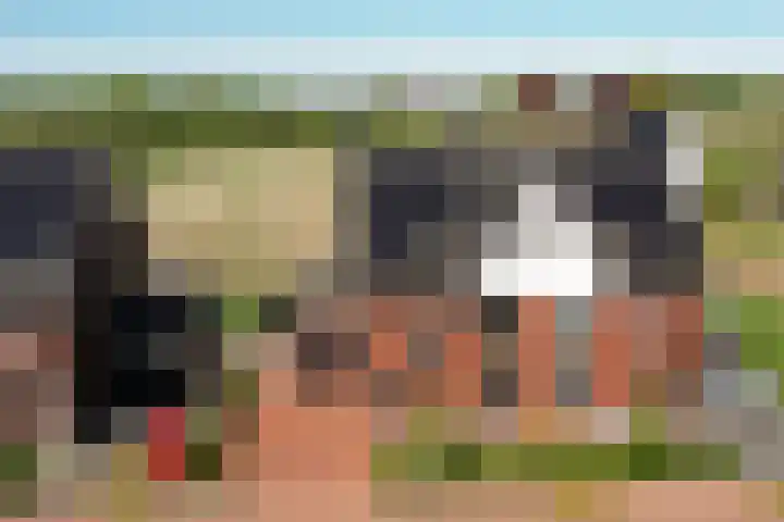 Hamermolen 9 Nunspeet thumbnail 61