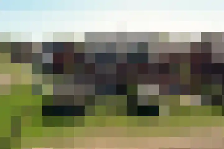 Hamermolen 9 Nunspeet thumbnail 62