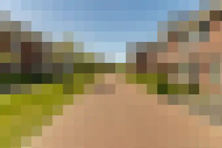 Hamermolen 9 Nunspeet thumbnail 63
