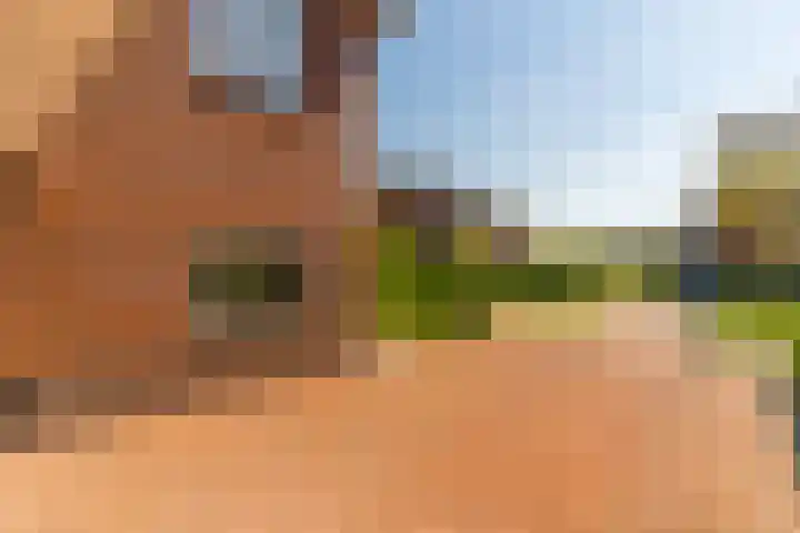 Hamermolen 9 Nunspeet thumbnail 7