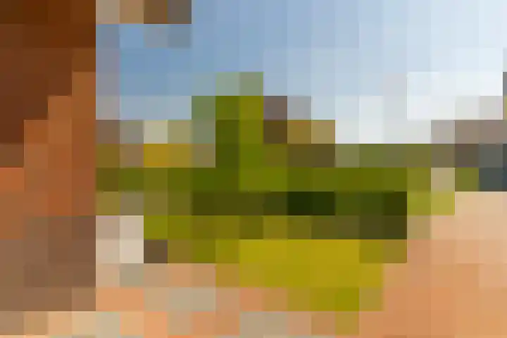 Hamermolen 9 Nunspeet thumbnail 8