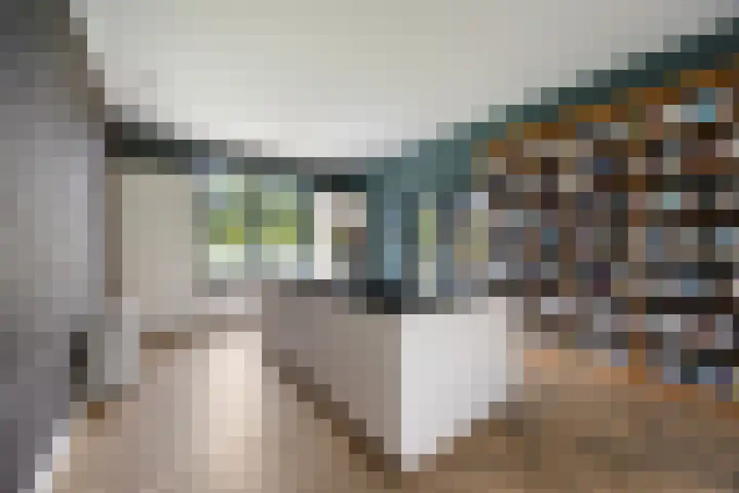 Hamersestraat 5 Westervoort thumbnail 10