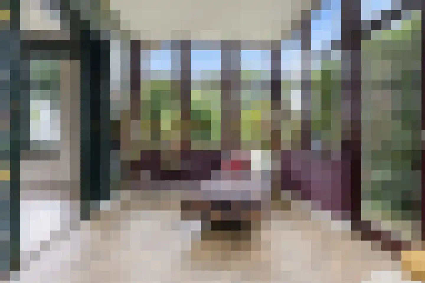 Hamersestraat 5 Westervoort thumbnail 13