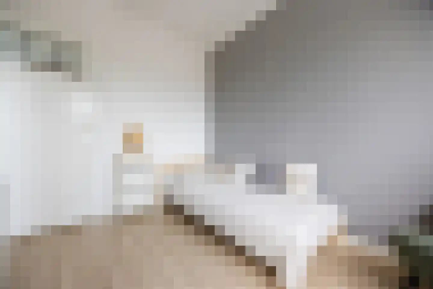 Hamersestraat 5 Westervoort thumbnail 21