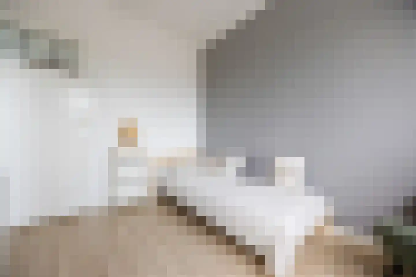 Hamersestraat 5 Westervoort thumbnail 21